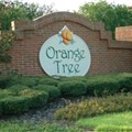 Orange Tree, Clermont, Orlando. Orange Tree, Clermont, Orlando